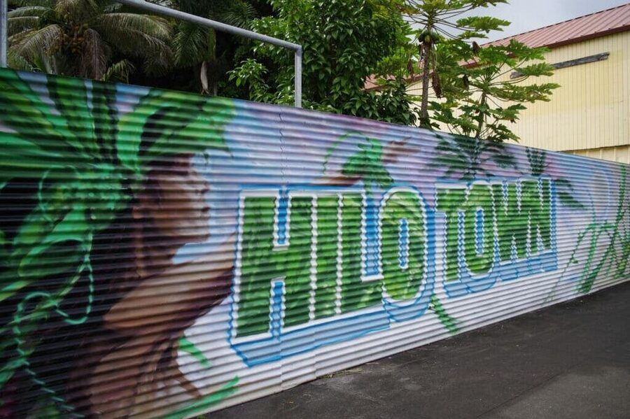 2-Hour Hilo Ghost Walks Tour - The Pacific Tsunami Museum and the ghosts of disaster