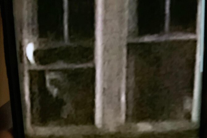 A Ghost Hunting Tour Specters and Apparitions in Salem - The Burying Point finale