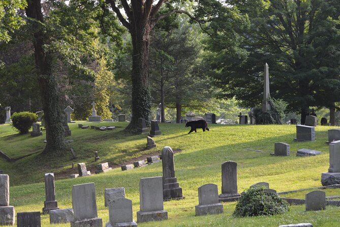 Asheville Ghost Tour: A Walk Through Riverside Cemetery & Montford Neighborhood - Comfort, weather, and practical details
