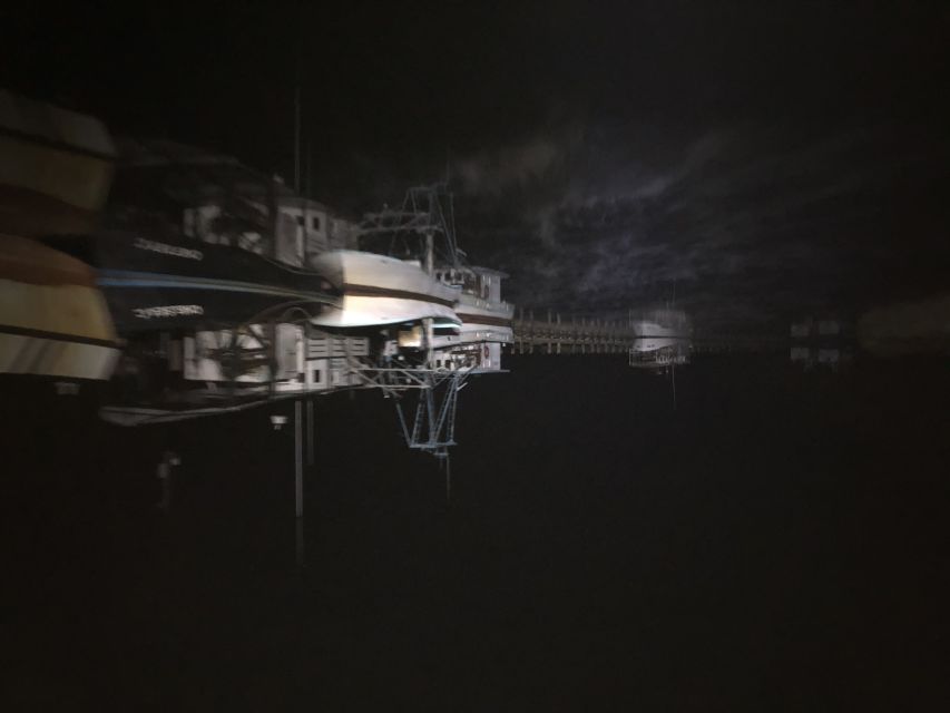 Bay Saint Louis, MS: The Haunted Bayou Cruise - Cryptic landmarks and Honey Island Swamp