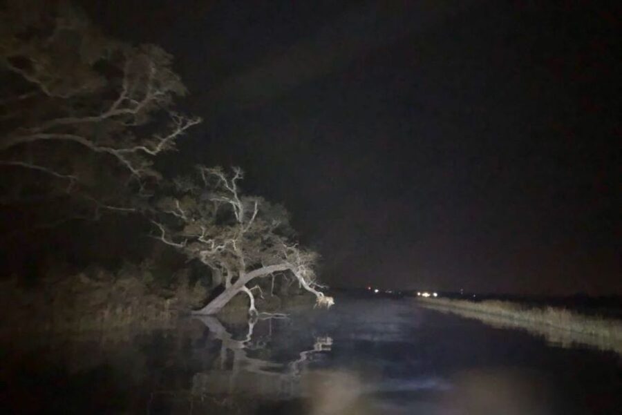 Bay Saint Louis, MS: The Haunted Bayou Cruise - Music, mist, and the theatrical tone
