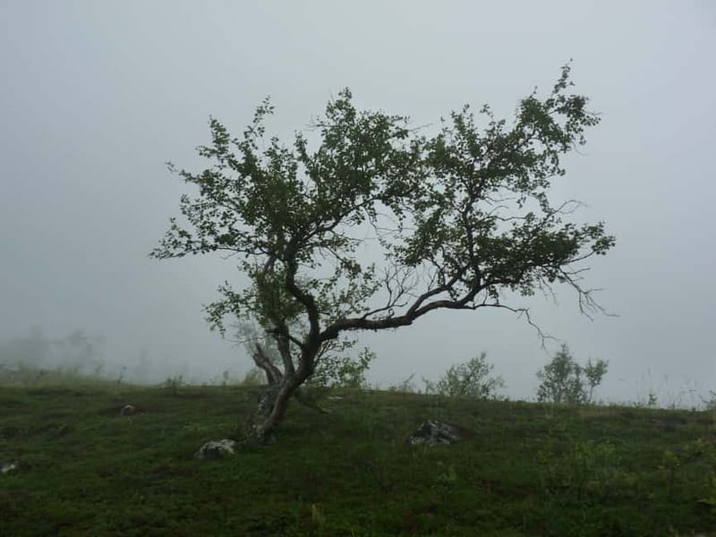 Bloody Stockholm: ghosts, horror and dark folklore 2h - Beginning beside Stockholm Palace
