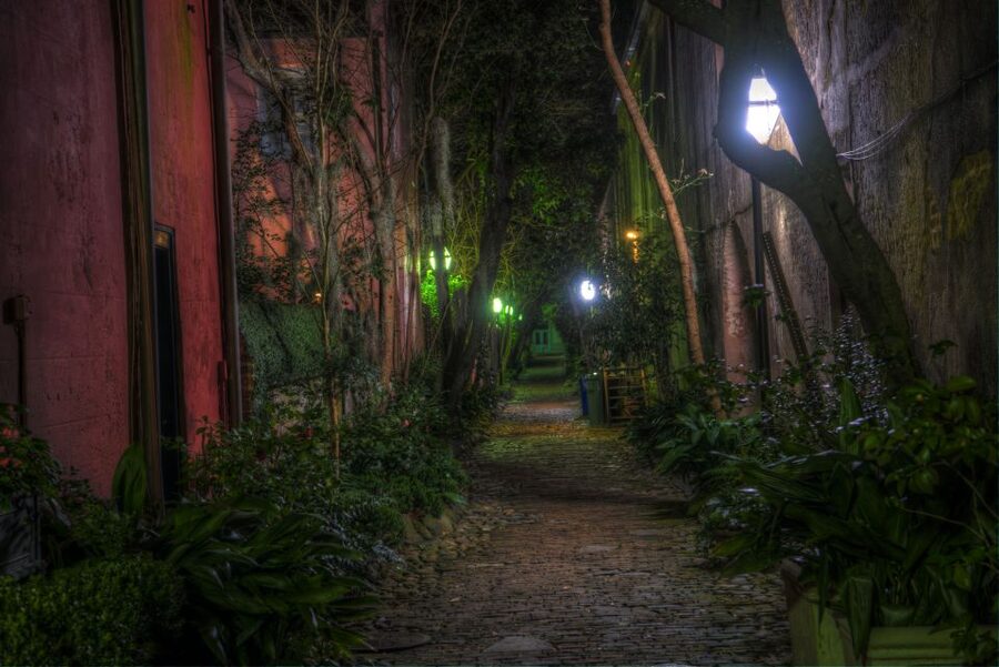 Charleston: Death and Depravity Ghost Walking Tour - Starting at Waterfront Park after dark