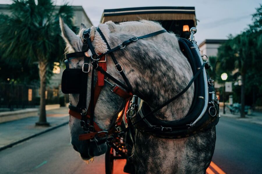 Charleston: Haunted Carriage Evening Tour - Old Exchange and Provost Dungeon: the darkest stop