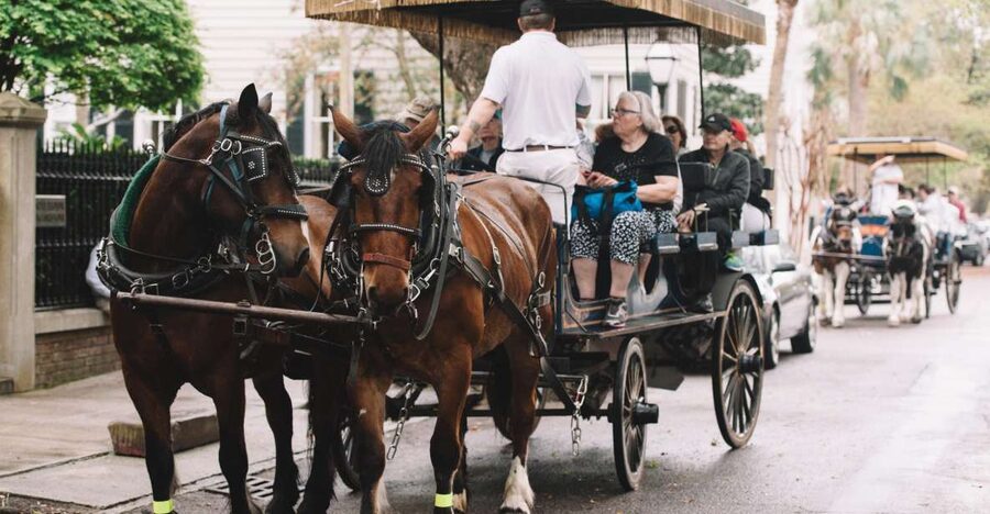 Charleston: Haunted Horse-Drawn Carriage Evening Tour - The Old Walled City and Waterfront Park