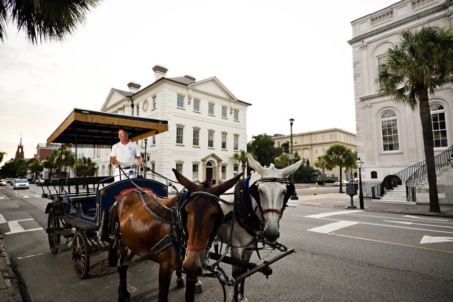 Charleston: Haunted Horse-Drawn Carriage Evening Tour - Churches, cemeteries, houses, and gardens