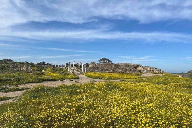 Day Tour to Famagusta, Ghost Town & Ancient Salamis - Leaving Paphos at 8:00 a.m.