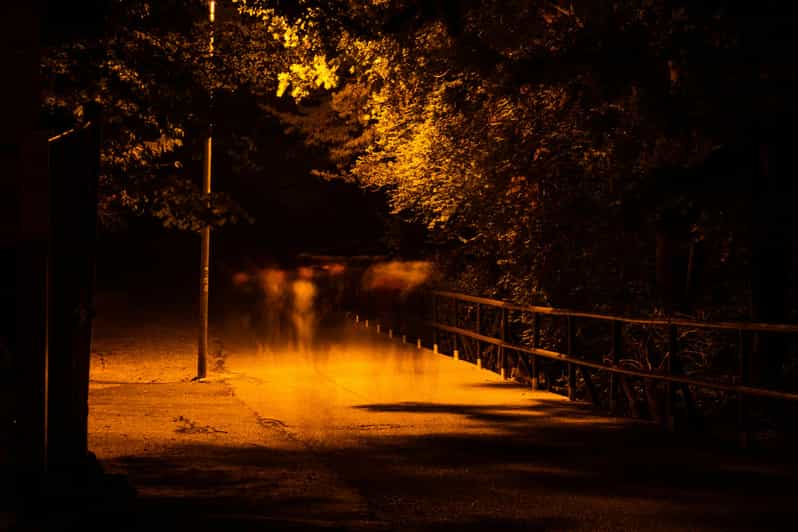 Dublin walking tour: ghosts & haunted places - Meeting the guide near Saint Stephen’s Green