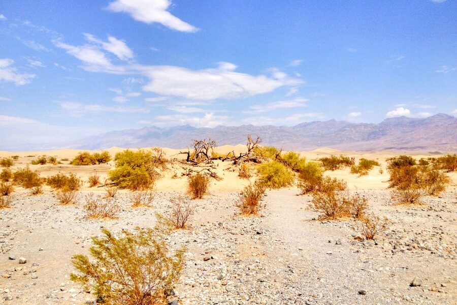 From Las Vegas: Ghost Town Wild West Adventures Day Trip - Chloride, a living ghost town in Arizona