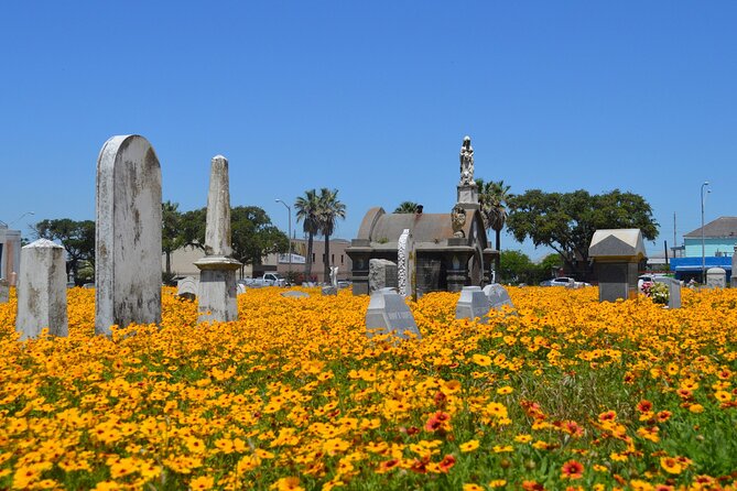 Galveston's Haunted Cemetery Walking Tour - Is $29.99 a fair price?