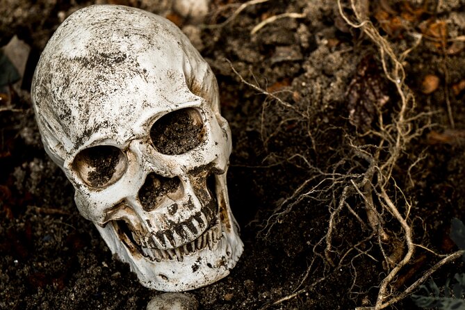 Gettysburg: Ghost Hunt Tour with Ghost Hunting Equipment - Price and value at $28.95
