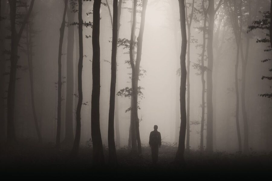 Gettysburg: Ghost Hunt Tour with Ghost Hunting Equipment - What the outdoor investigation feels like
