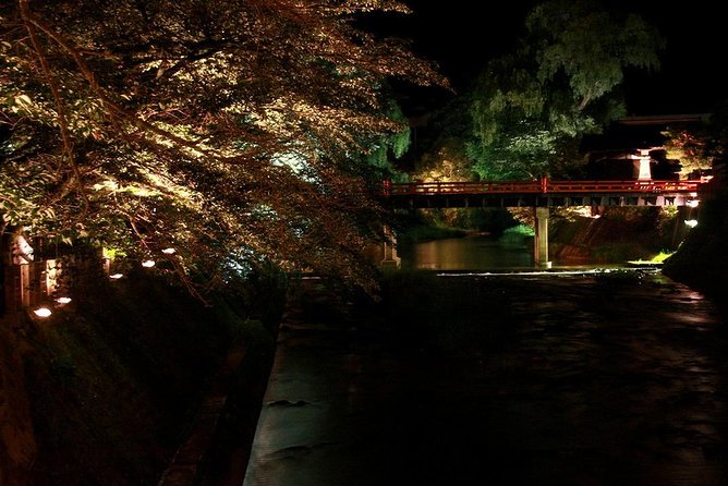 Ghost Stories and Nightlife Tour of Takayama (Private Tour - Price per Group) - Takayama Jinya from the back side