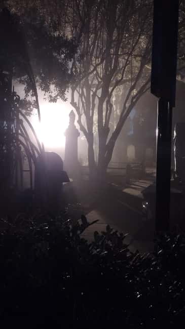 Ghost Tour - Charleston Dark History & Ghost Tour With Adam - Who will enjoy this walk most