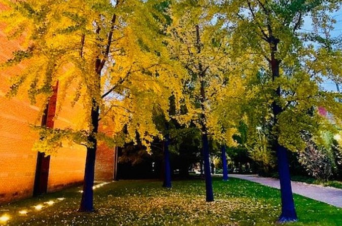 Ghostly Tales of Salem Walking Tour - The best time to take the walk