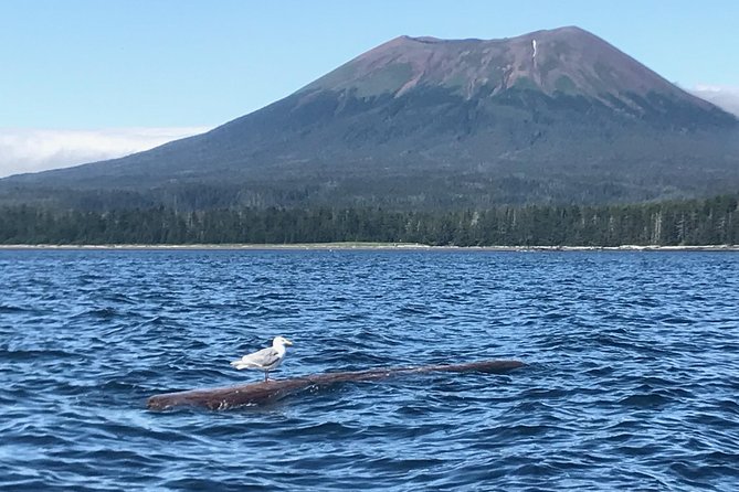 Ghosts of Historic Sitka - Walking Tour - The opening welcome and Sitka’s early story