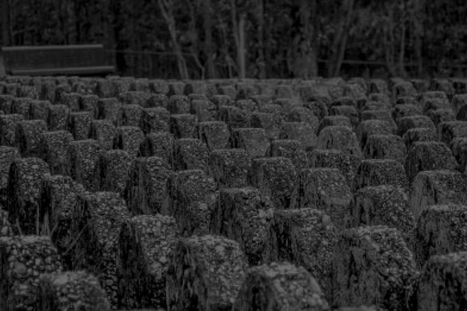 Goodna Cemetery Haunted History Tour - The guides are a major part of the night