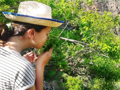 Gran Canaria: Green Witchcraft in the Magic Island
