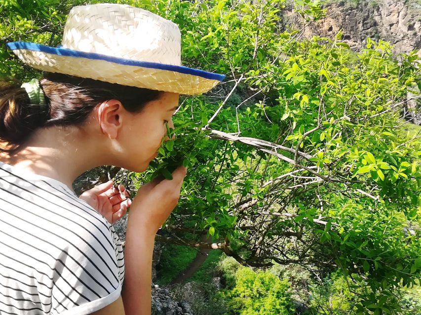 Gran Canaria: Green Witchcraft in the Magic Island - Meet Massimo, the island herbalist