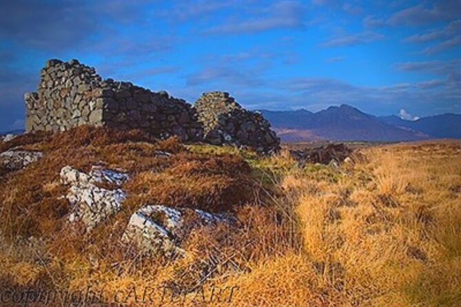 Haunted Bog road tour. Galway. Private guided. 3 hours - What the private format really gives you