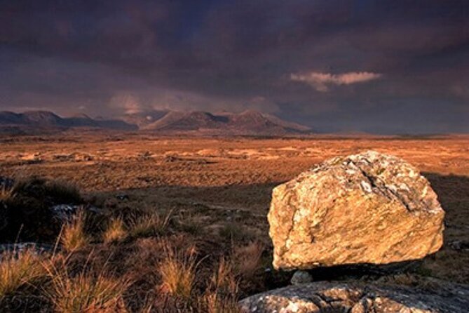 Haunted Bog road tour. Galway. Private guided. 3 hours - The guide can make or break the afternoon