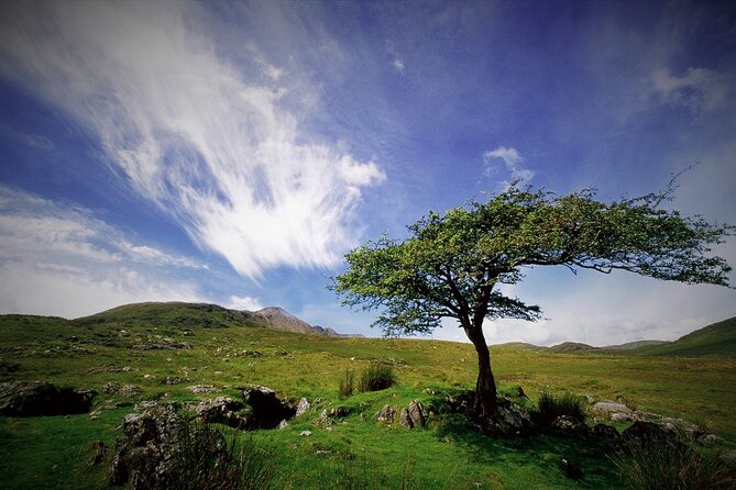 Haunted Bog road tour. Galway. Private guided. 3 hours - Price and value for different group sizes