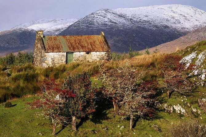Haunted Bog road tour. Galway. Private guided. 3 hours - Who will enjoy the Haunted Bog Road tour