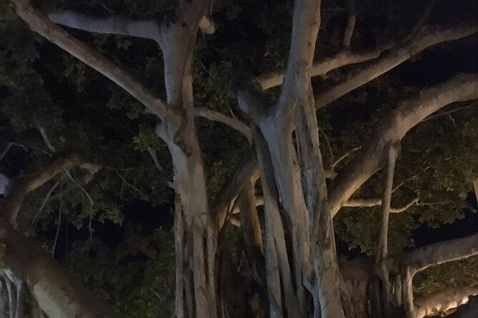 Haunted History of Fort Myers Walking Tour - Sidney & Berne Davis Art Center: old walls, new stories