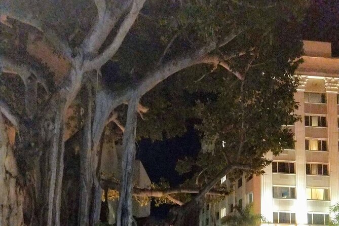 Haunted History of Fort Myers Walking Tour - What the 90-minute pace feels like