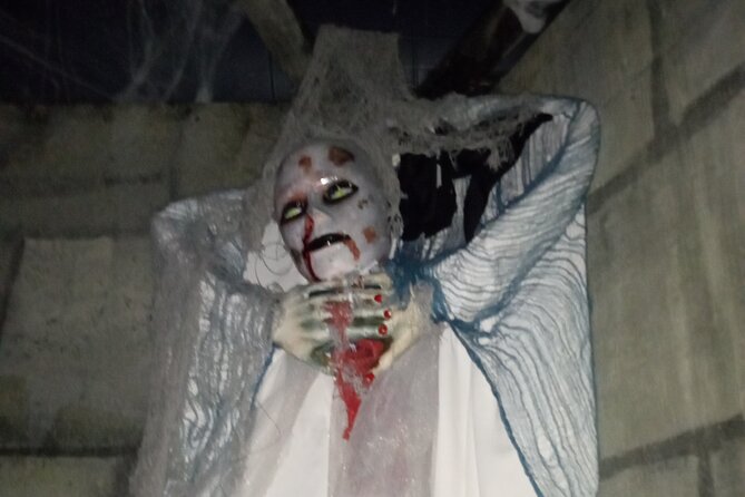 Haunted Mayfield Manor Haunted House Admission - Why families may enjoy the stop