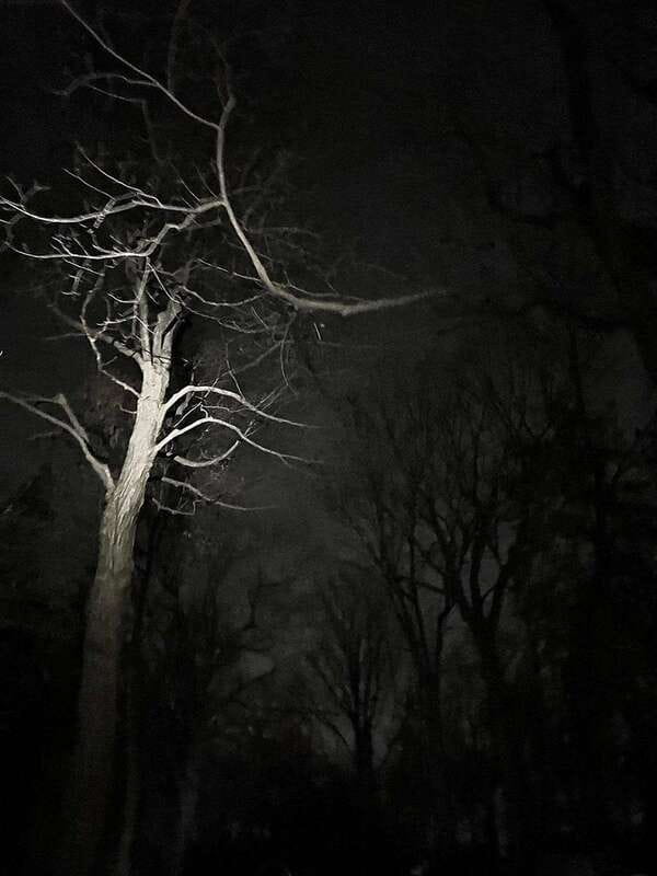 Haunted Mountain Ghost Walking Tour - The mountain’s haunted hospitals and abandoned castles