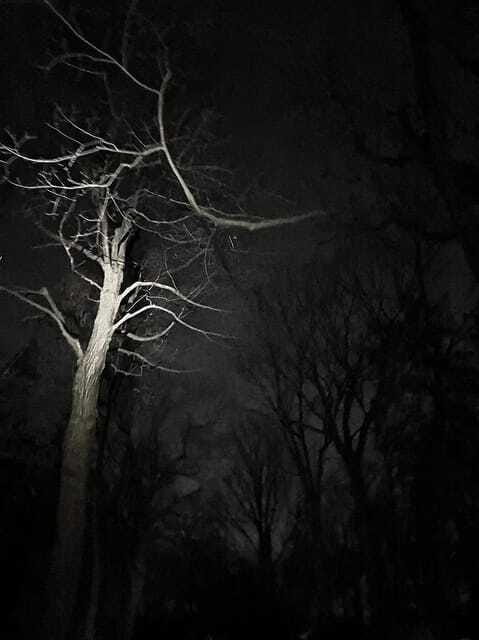 Haunted Mountain Ghost Walking Tour - What the $24 price buys you