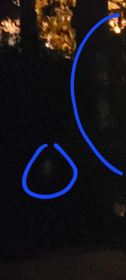 Haunted St. Augustine Semi-Private Paranormal Investigation - Learning what makes a genuine haunting