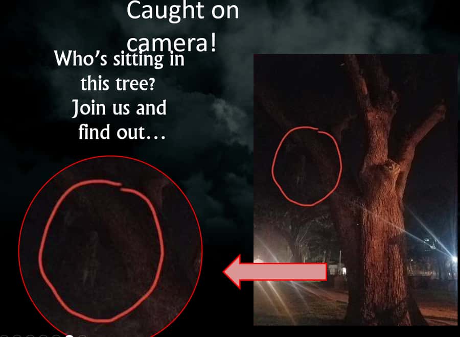 Haunted St. Augustine Semi-Private Paranormal Investigation - Price, timing, and what the fee covers