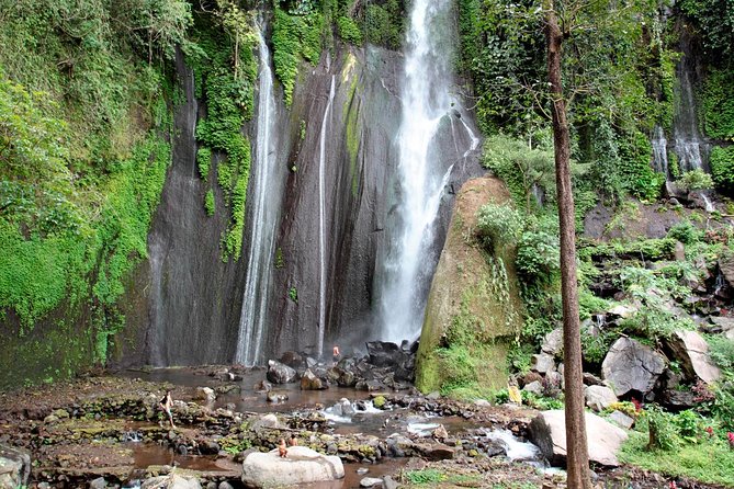 Haunted Valley Waterfall ATV and Bike Tour - Who will enjoy this five-hour outing