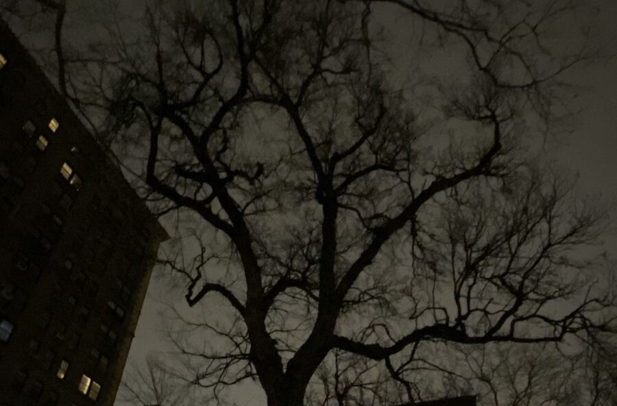 Haunted Village of New York City walking tour - Key details before you book