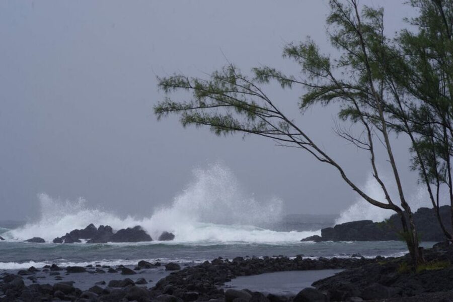 Hilo: Walking Ghost Tour - Day-Lum Properties and Hilo’s older streets