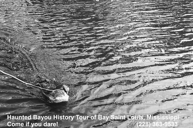 Historical Haunted Bayou Cruise - Ghost stories with a side of wildlife