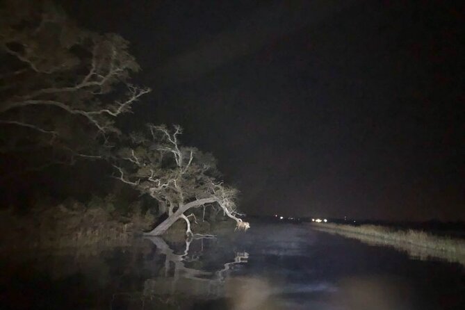 Historical Haunted Bayou Cruise - Who will enjoy this most