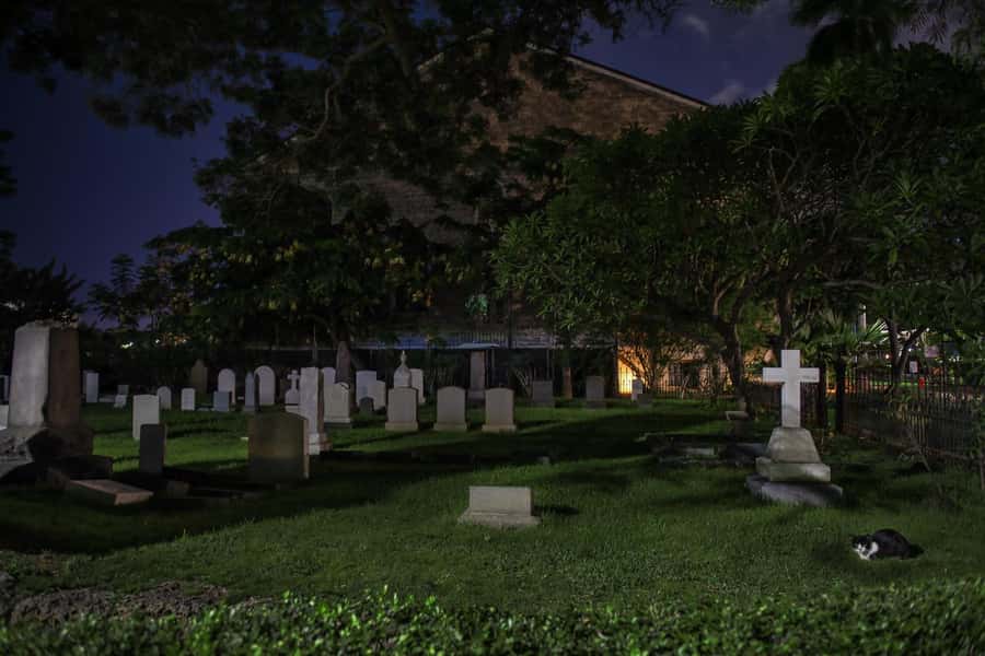 Honolulu Haunts: Ghosts and Spirits Walking Tour - Who will enjoy Honolulu Haunts most