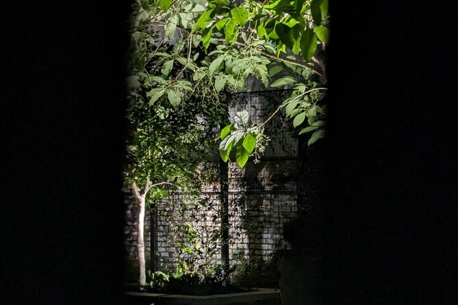 Interactive Paranormal Ghost Walking Tour in Savannah Georgia - Key things to know before you go