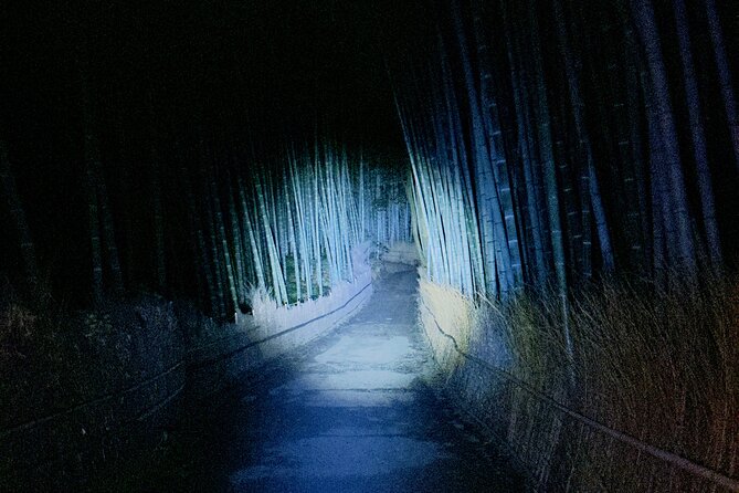 Kyoto Ghost Tour: Dark Tales, Urban Legends, Bamboo Forest Night - The solo walk in the bamboo forest