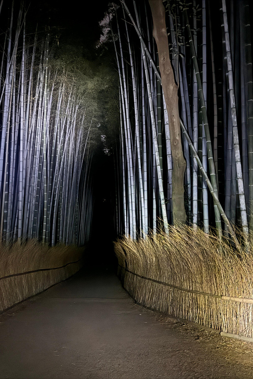 Kyoto: Ghost Tour - Legends, Dark Tales, Bamboo Forest Night - Why Arashiyama works so well after dark