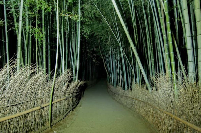 Kyoto: Ghost Tour - Legends, Dark Tales, Bamboo Forest Night - Arashiyama after the main forest walk