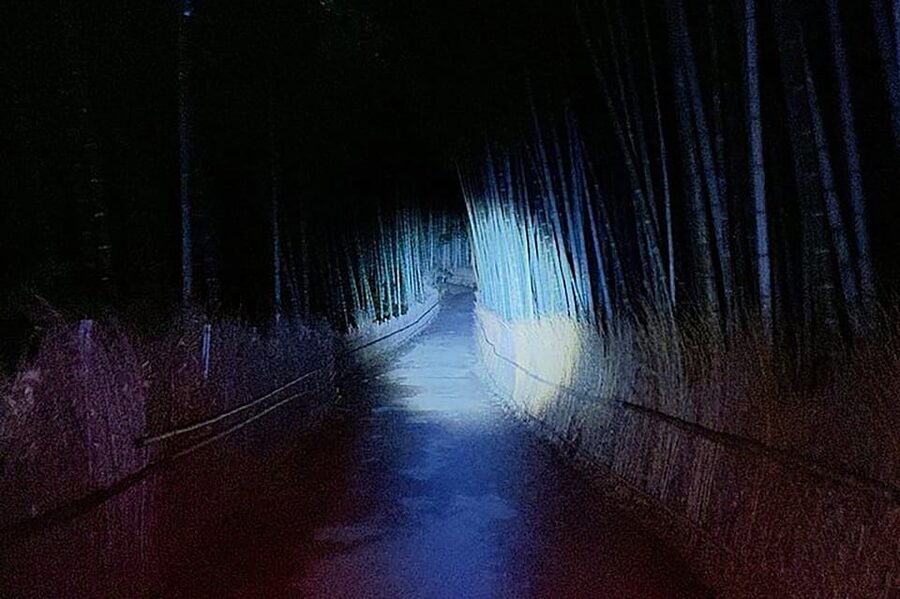 Kyoto: Ghost Tour - Legends, Dark Tales, Bamboo Forest Night - Who should book this Kyoto ghost tour