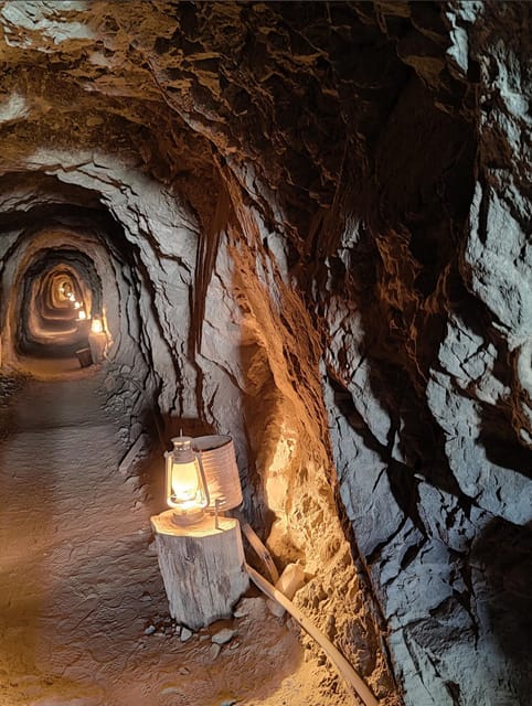 Las Vegas: El Dorado Canyon, Ghost Town and Gold Mine Tour - Small-group travel and the guide