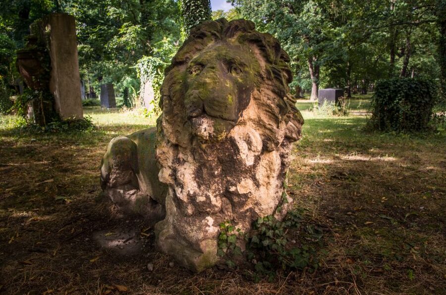 Leipzig Old Cemetery: 75-Minute Dark History Tour - Key things to know before you go