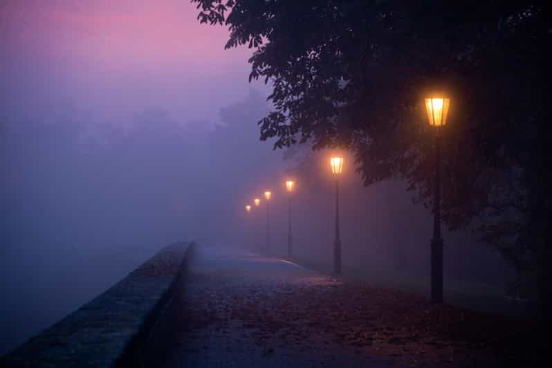 New Orleans: 2-Hour Paranormal Investigation Tour - A mass burial ground sets the tone
