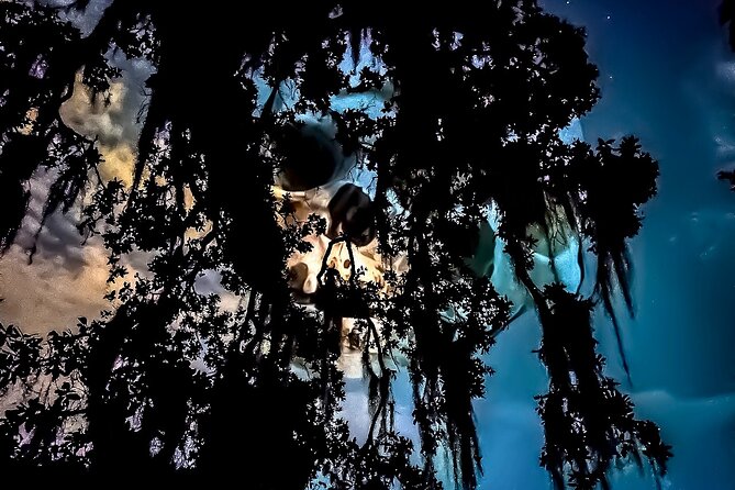 New Orleans: Dead of Night Ghosts and Cemetery Bus Tour - Meeting at Rampart Treehouse Bar