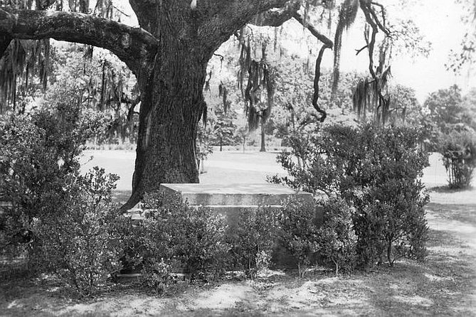 New Orleans: Dead of Night Ghosts and Cemetery Bus Tour - The notorious street and stories of crime